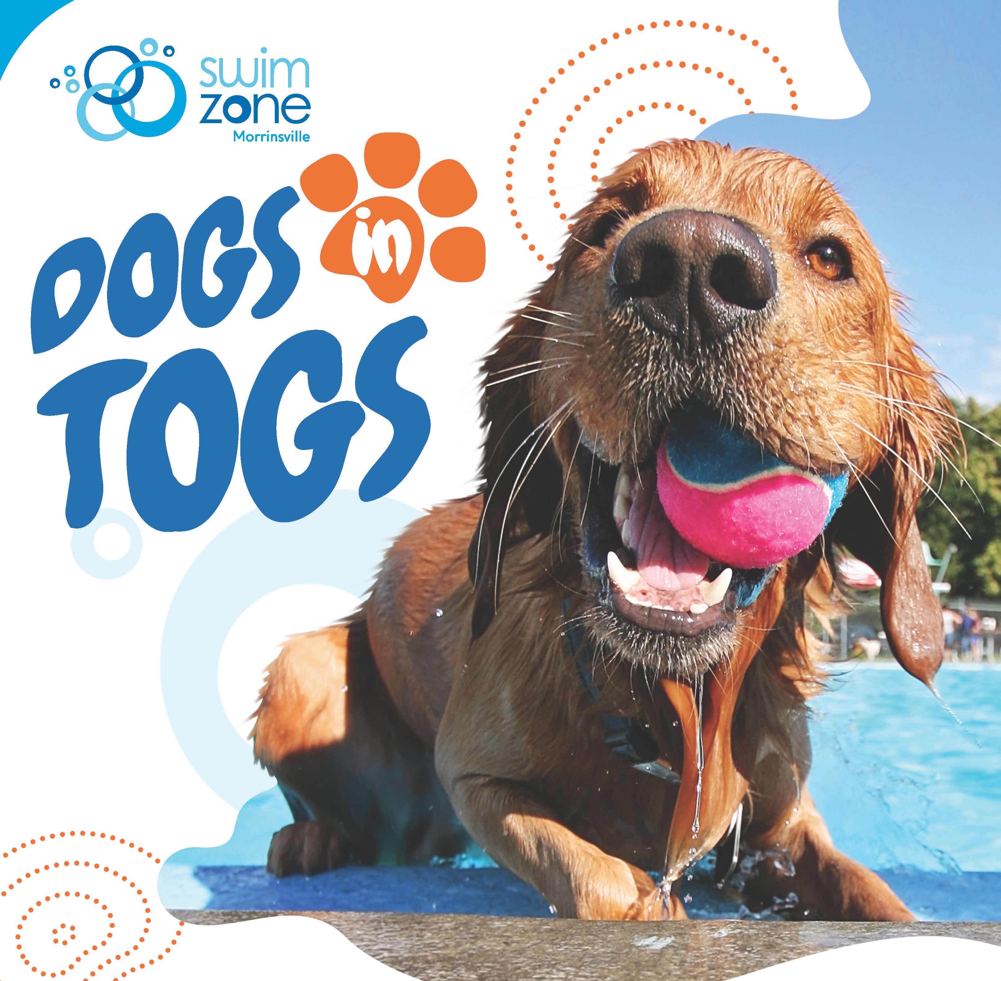 This image for Image Layouts addon